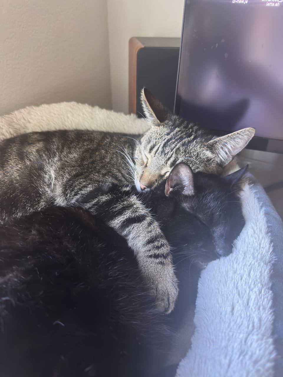 Should I move my story to Substack?